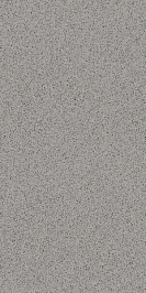 SP120110N Натива серый 9.8*19.8 керамический гранит