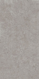 DD590600R Про Лаймстоун АТ серый натуральный обрезной 119,5х238,5 керамогранит