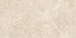 Плитка Nyra Hay Field 40x80  