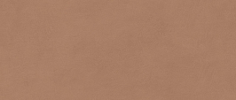 Плитка Boost Expression Sienna 50x120 