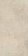 Керамогранит Миллениум Даст 60x120 (610010001457)