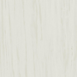 Керамогранит Marvel Bianco Dolomite 60x60 (AZQS) 