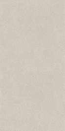 DD519220R Джиминьяно серый светлый матовый обрезной 60х119,5x0,9 керамогранит