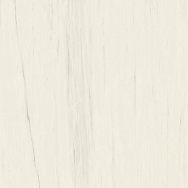 Керамогранит Marvel Bianco Dolomite 160x160RT Lappato (AO53) 