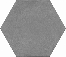 SG23031N Пуату серый темный 20x23,1 керамический гранит