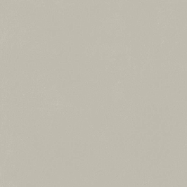 Форум Слим Сильвер 80x80 рет.