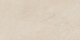 Керамогранит Forte Dei Marmi Rock Siber. Iv. 60x120 LASTRA 20mm
