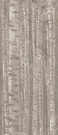 Декор Boost Pro Grove 120x278 (A0LW) 