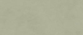 Плитка Boost Expression Olive 50x120 