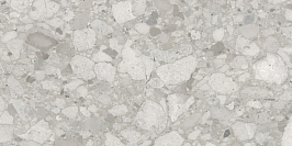 Softceppo Серый Матовый R10a 60x120