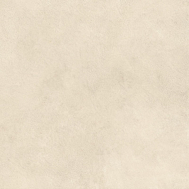 Керамогранит Boost Expression Shell 60x60 