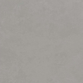Rinascente Grey 60x60 (610010002654) Керамогранит
