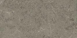 Керамогранит Marvel Meraviglia Grigio Elegante 60x120 Lapp.- 6mm (AKHO)