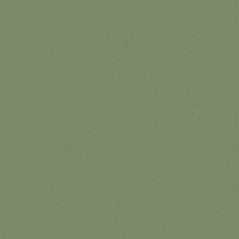 Керамогранит RW06 Rainbow натуральная 60x60 серый