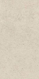 Форум Стоун Пьюр 60x120