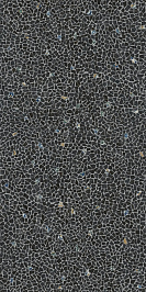 SG594202R Палладиана темный декорированный 119,5x238,5 керамогранит