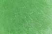 KM5910 Обои виниловые на флизелиновой основе Джангл, база, зелёный КЕРАМА МАРАЦЦИ