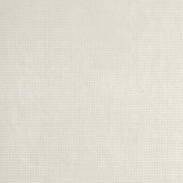 Керамогранит Rooy 80 White Matt (fQQV)