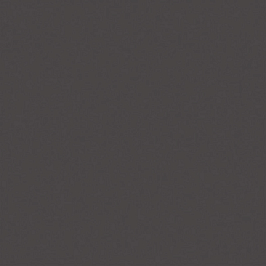 Керамогранит RW034 Rainbow натуральная 80x80 черный