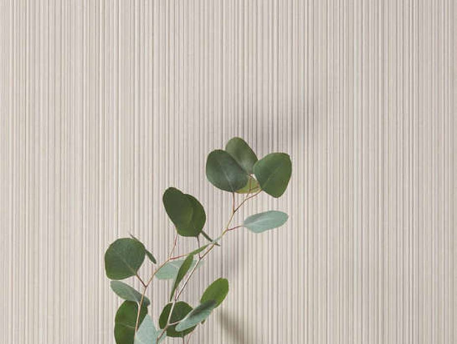 Интерьер Superclassica SCB от 41zero42 Интерьер Superclassica SCB от 41zero42