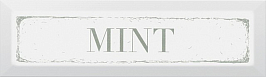 NT/A38/9001 Mint зеленый 8.5*28.5 декор