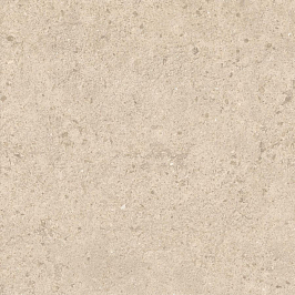 Керамогранит Nyra Utopia Barley 60x60 (HGF1) Керамогранит Nyra Utopia Barley 60x60 (HGF1)