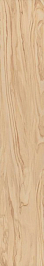 SG516200R Олива бежевый обрезной 20*119.5 керамический гранит