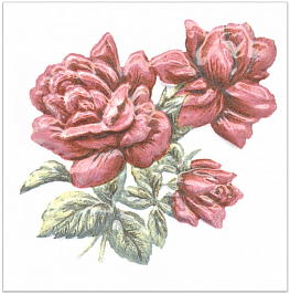 TFA012 Оранжерея Розы декор
