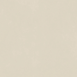 Форум Слим Пьюр 120x120 рет.