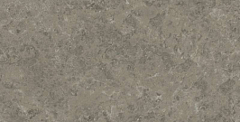 Керамогранит Marvel Meraviglia Grigio Elegante 120x240 Lapp. (AJIA) 