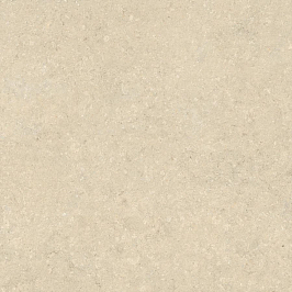 Керамогранит Nyra Utopia Acacia 120x120 (HGFN) Керамогранит Nyra Utopia Acacia 120x120 (HGFN)