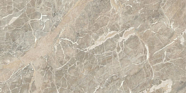 Керамогранит Marvel Next Aurelia Vein 60x120 (HGJG) Керамогранит Marvel Next Aurelia Vein 60x120 (HGJG)
