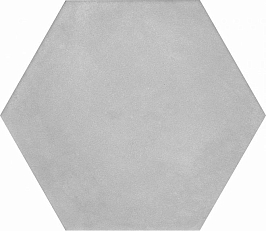 SG23029N Пуату серый светлый 20x23,1 керамический гранит