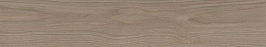 SG643820R/5 Подступенок Альберони коричневый светлый матовый обрезной 60x10,7x0,9