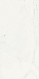 Плитка Шарм Делюкс Бьянко Микеланжело 40x80 (600010002257)