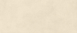 Плитка Boost Expression Grain Shell 50x120 