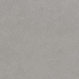 Керамогранит Rinascente Grey 60x60 (610010002654) 