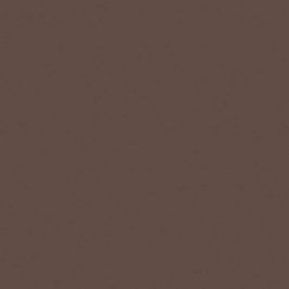 Керамогранит RW04 Rainbow натуральная 60x60 коричневый