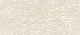 Керамогранит Vest Breath 120x278 - 6mm  