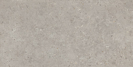 SG519920R Риккарди серый светлый матовый обрезной 60х119,5x0,9 керамогранит