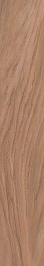 SG040100R Тиндало бежевый обрезной 40*238.5 керамический гранит