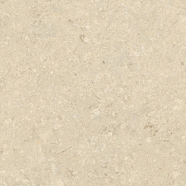 Керамогранит Nyra Utopia Acacia 60x60 (HGF2) Керамогранит Nyra Utopia Acacia 60x60 (HGF2)