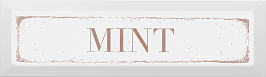 NT/C38/9001 Mint карамель 8.5*28.5 декор